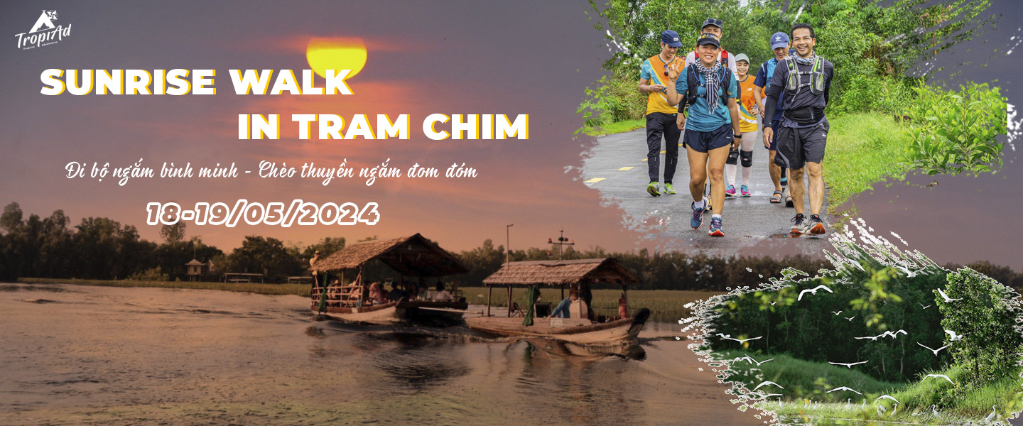 Sự Kiện Giải Chạy Bộ Sunrise Walk In Tram Chim 4
