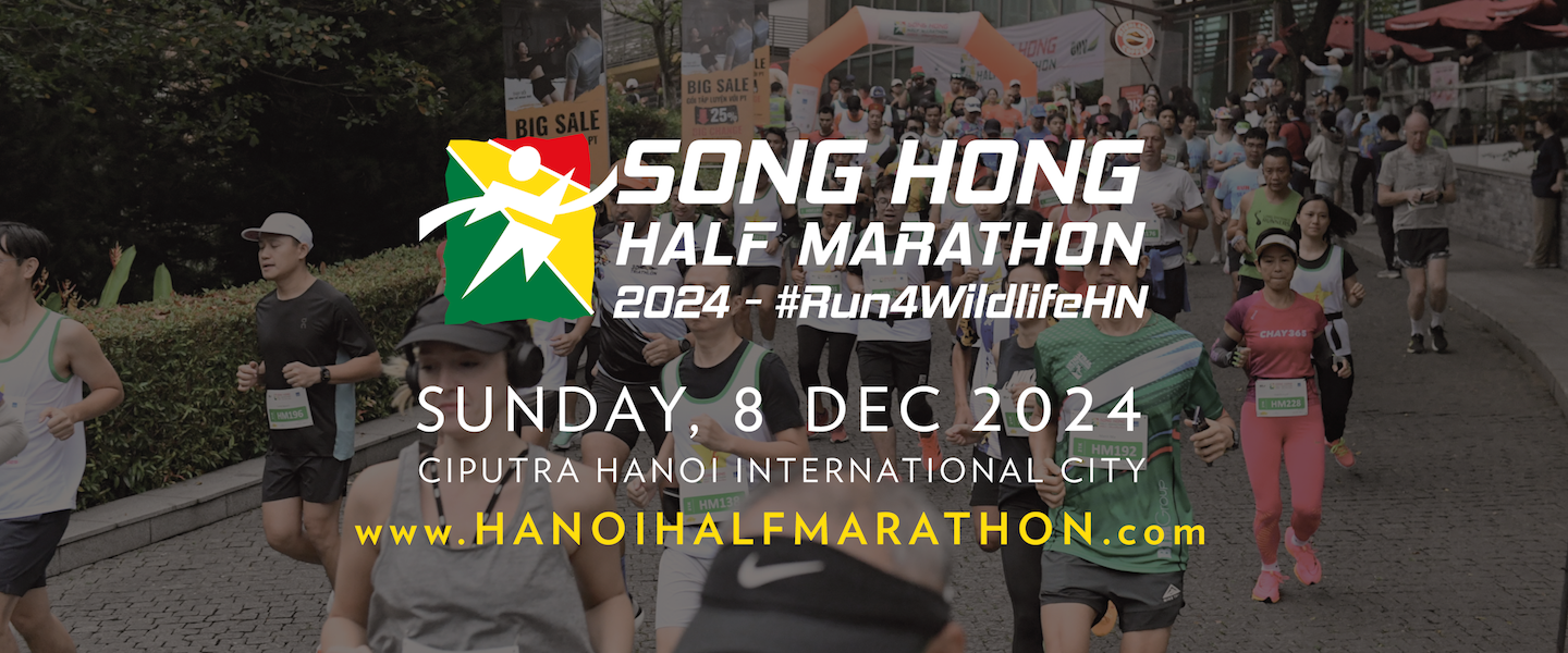 Sự Kiện Giải Chạy Bộ Song Hong Half Marathon 2024 1