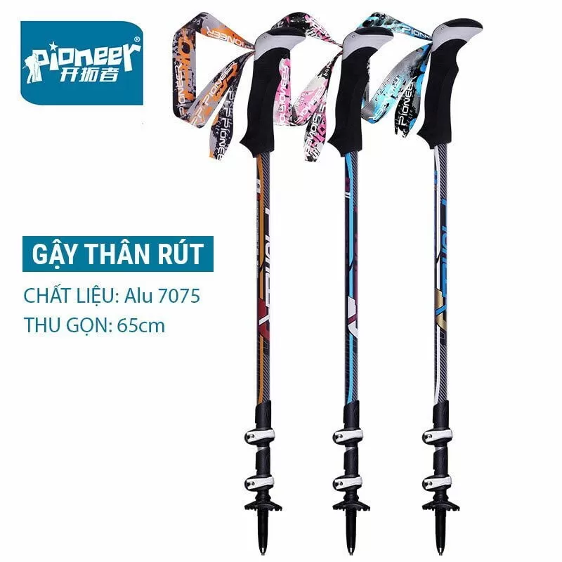 gay-leo-nui-pioneer-pl-05s-002